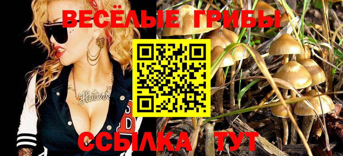Псилоцибиновые грибы мицелий  Вход с VPN  наркошоп  Чебаркуль 